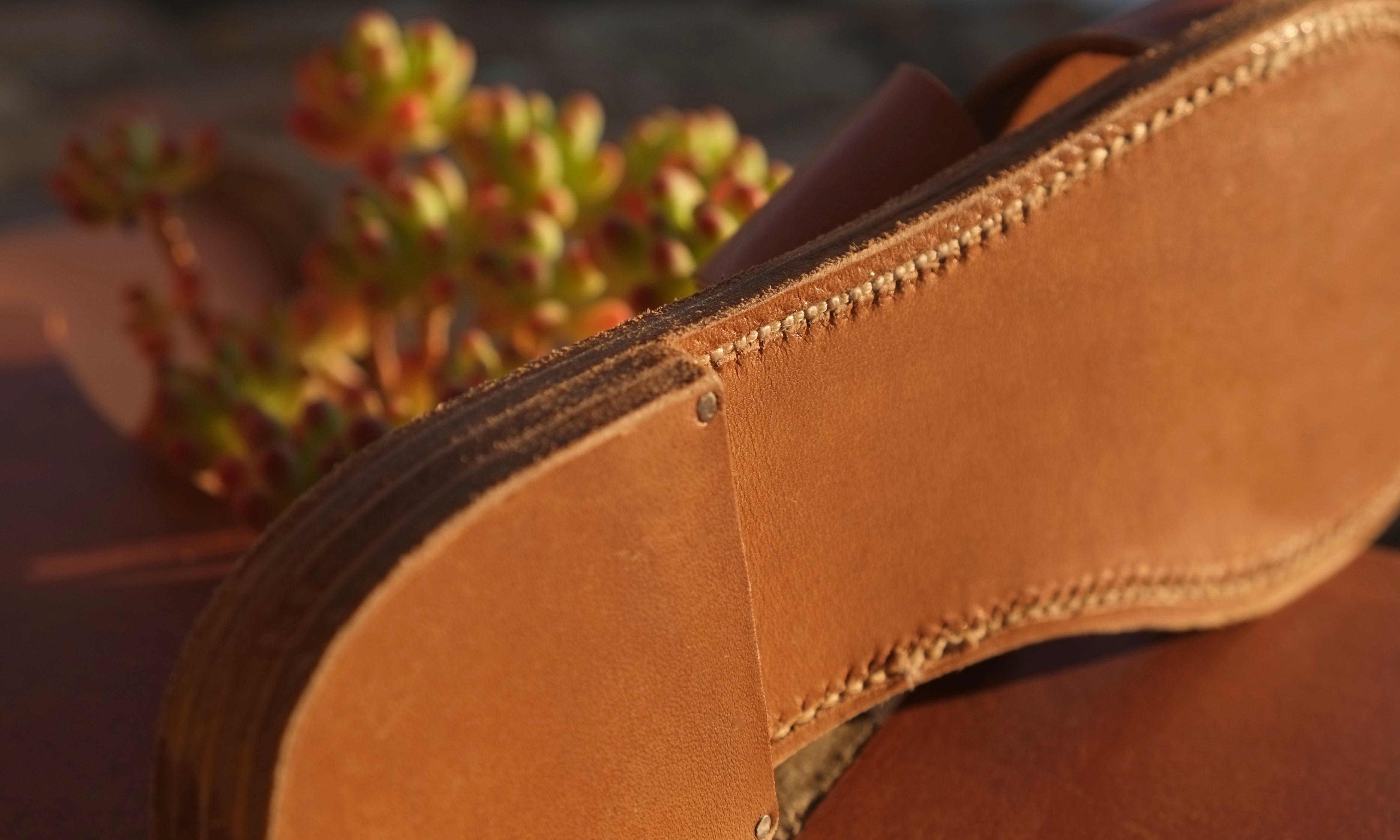 Les Sandales Infinies - Renard